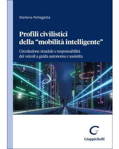 Profili civilistici della "mobilità intelligente"