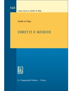 Diritti e rimedi