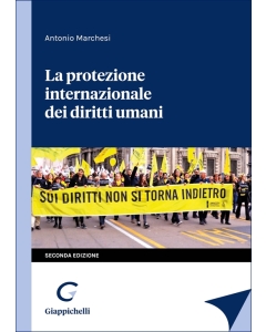 La protezione internazionale dei diritti umani