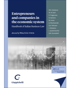 Entrepreneurs and companies in the economic system