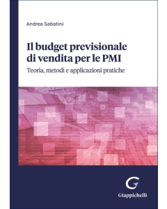 Il budget previsionale di vendita per le PMI