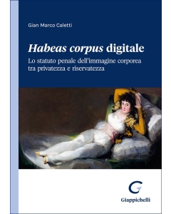 Habeas corpus digitale