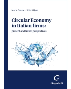 Circular Economy in Italian firms: present and future perspectives