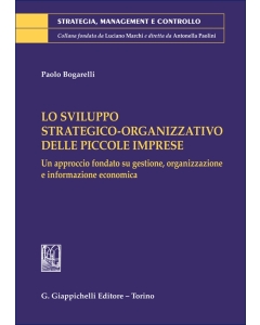 Lo sviluppo strategico-organizzativo delle piccole imprese