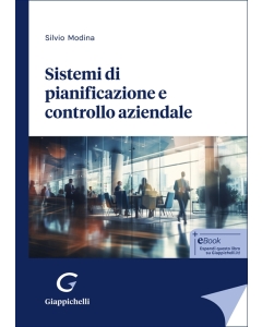 Sistemi di pianificazione e controllo aziendale