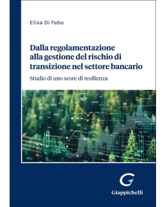 Dalla regolamentazione alla gestione del rischio di transizione nel settore bancario