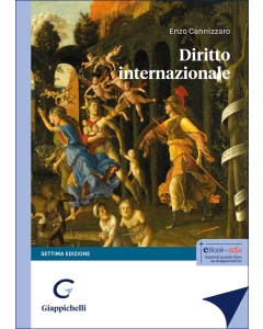 Diritto internazionale