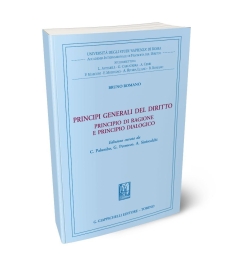 Principì generali del diritto