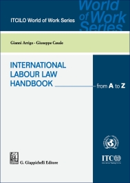 International Labour Law Handbook