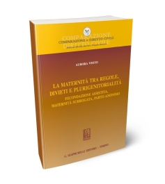  La maternità tra regole, divieti e plurigenitorialità