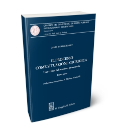 Il processo come situazione giuridica