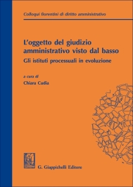 L'oggetto del giudizio amministrativo visto dal basso: gli istituti processuali in evoluzione