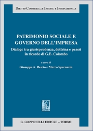 Patrimonio sociale e governo dell'impresa