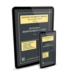 Illecito e responsabilità civile e-Book