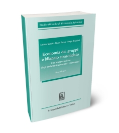 Economia dei gruppi e bilancio consolidato