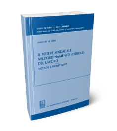 Il potere sindacale nell'ordinamento (debole) del lavoro