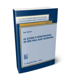 Gli accordi di ristrutturazione dei debiti nella legge fallimentare