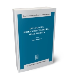 Dialogo sul sistema dei controlli nelle società