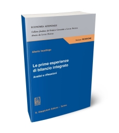 Le prime esperienze di bilancio integrato