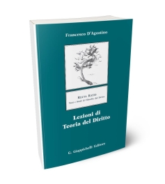Lezioni di teoria del diritto