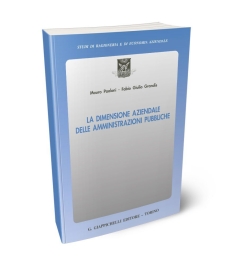La dimensione aziendale delle amministrazioni pubbliche