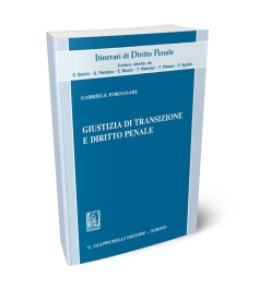 Giustizia di transizione e diritto penale