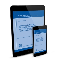 Il sistema delle tutele del lavoro nell'appalto tra politiche del diritto e scelte organizzative - e-Book