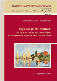 Topics on public contracts - e-Book