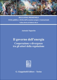 Il governo dell'energia