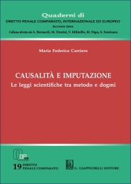 Causalità e imputazione