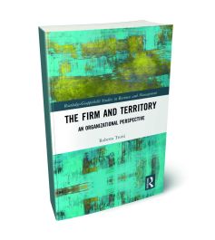 The firm and territory: an organizational prospetive